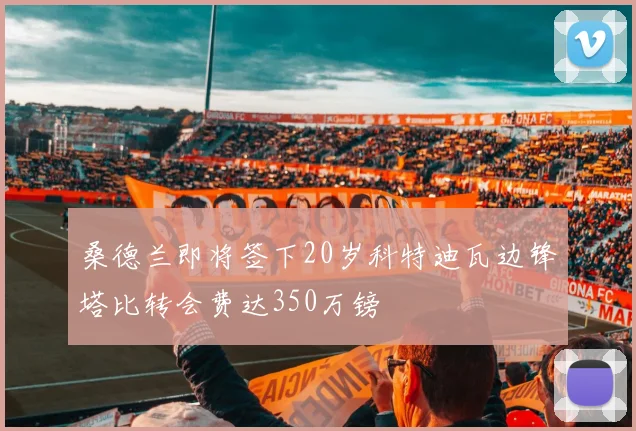 桑德兰即将签下20岁科特迪瓦边锋塔比转会费达350万镑